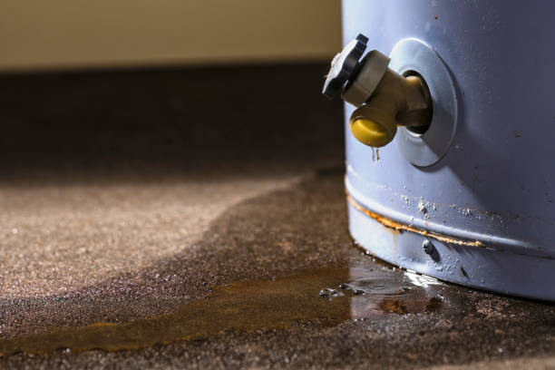 Best 24/7 water damage repair  in Rden City, GA