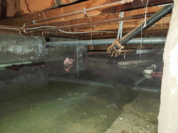 Best Ceiling water damage repair  in Rden City, GA
