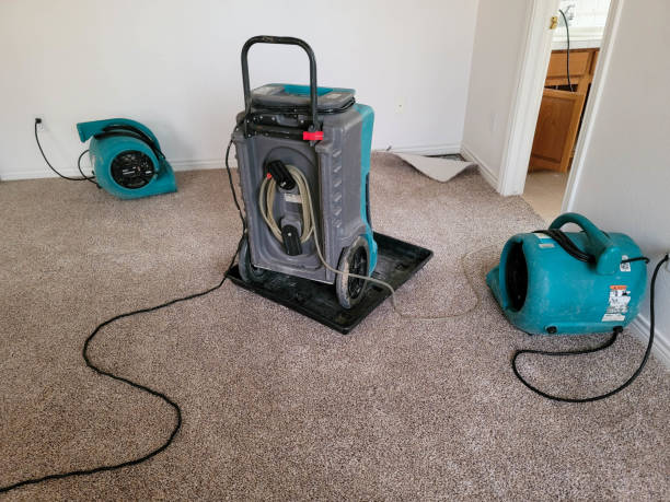 Best 24-hour water damage restoration  in Rden City, GA