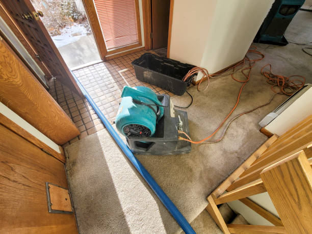 Best Professional water damage repair  in Rden City, GA