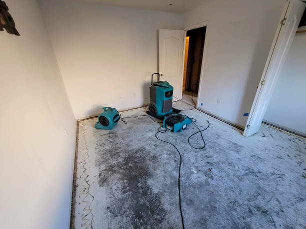 Best Water damage restoration mold remediation  in Rden City, GA