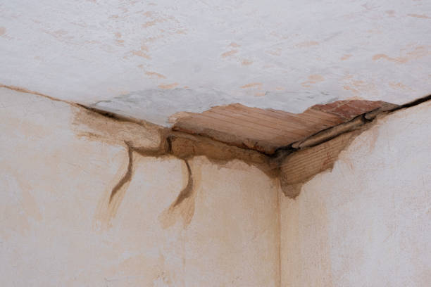 Best Residential water damage restoration  in Rden City, GA