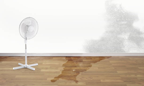 Rden City, GA Water damage restoration Pros
