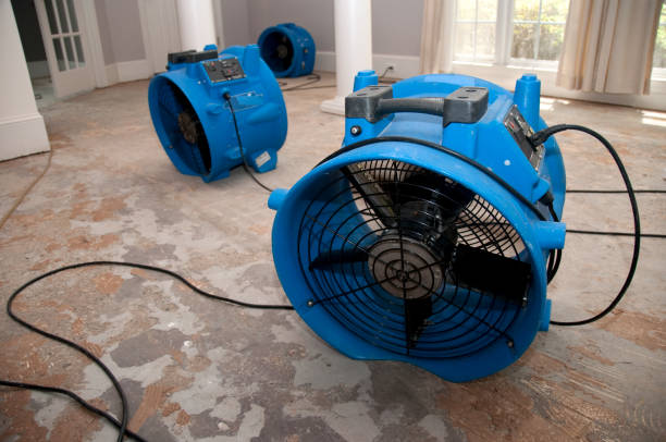 Best Sewage cleanup and water damage restoration  in Rden City, GA