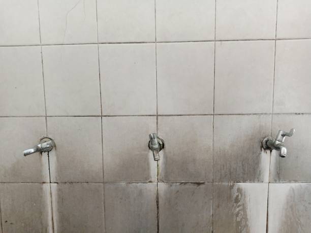 Best Mold removal after water damage  in Rden City, GA