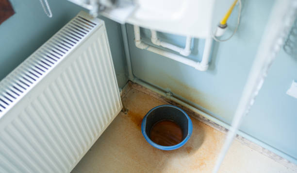 Best Water damage restoration near me  in Rden City, GA